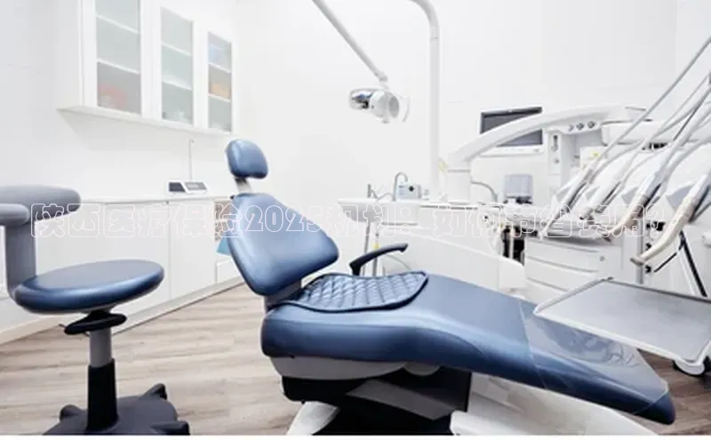 MK体育APP下载地址