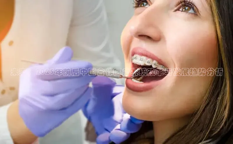 MK体育APP下载地址