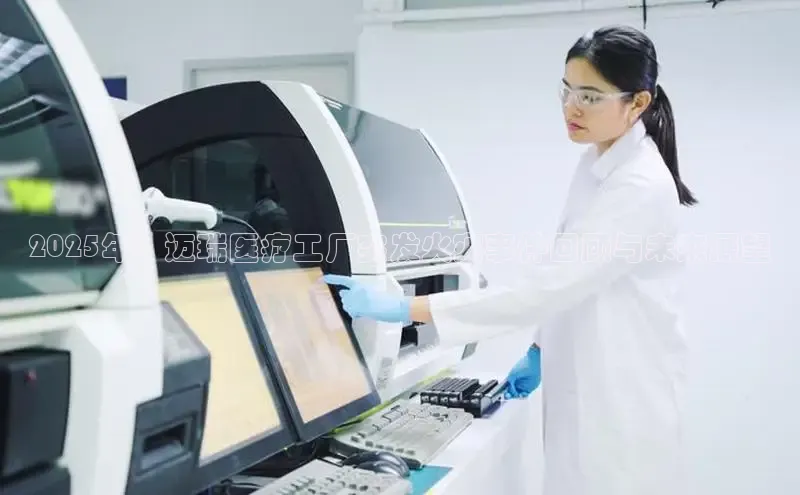 mk·体育官方网站