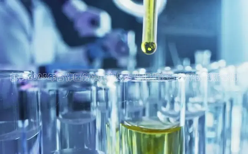 MK体育官方网站入口